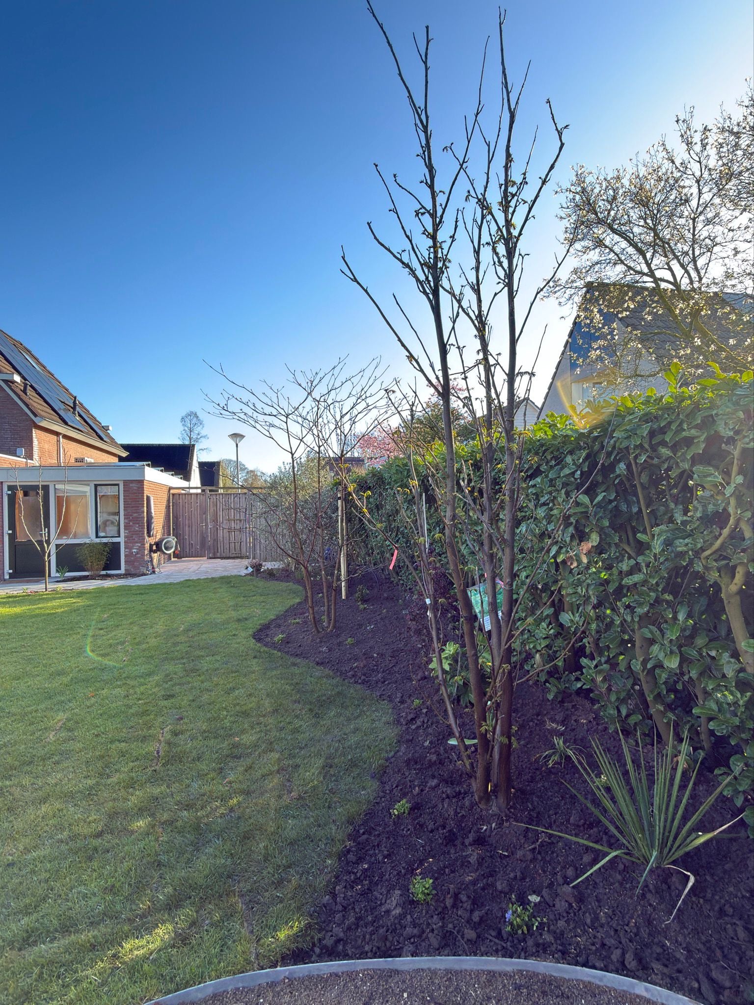 Zwarte grond kopen